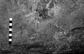 NMSA 03 3088P