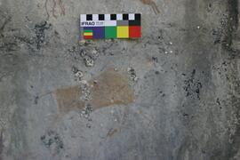 NMSA RSA LOM1 12D