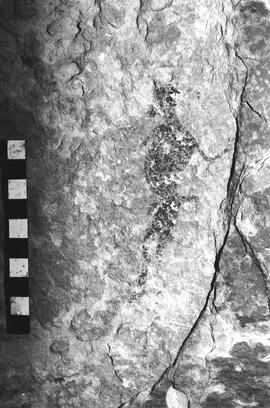 NMSA 03 4526P