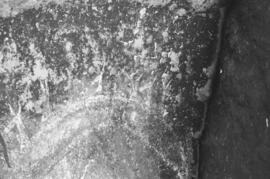 NMSA 03 8931P
