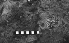NMSA 03 2730P