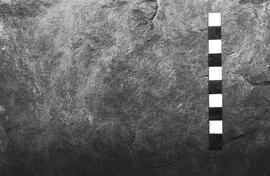 NMSA 03 4641P