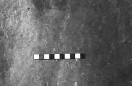NMSA 03 2260P