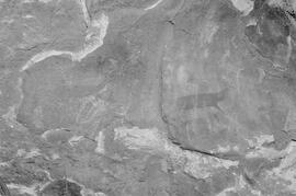 NMSA 03 8403P
