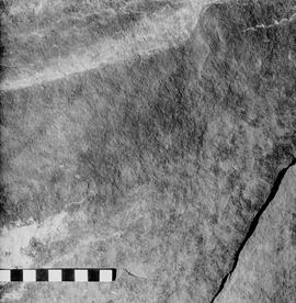 NMSA 03 5817P