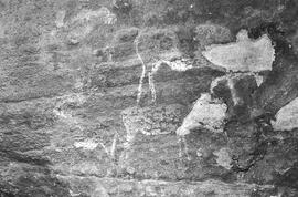 NMSA 03 222P