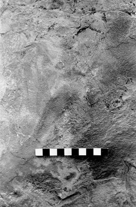NMSA 03 3847P
