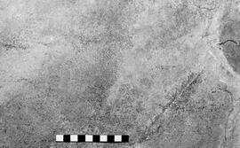 NMSA 03 6389P