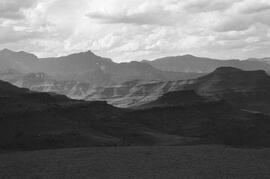 NMSA 03 6439P