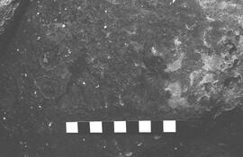 NMSA 03 2499P