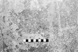 NMSA 03 1924P