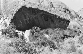 NMSA 03 2393P