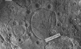 NMSA 03 7495P