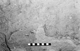 NMSA 03 6454P