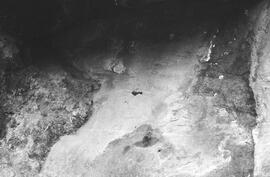 NMSA 03 6582P