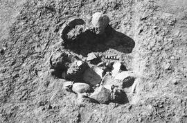 NMSA 03 735P