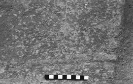 NMSA 03 6012P