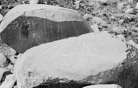 NMSA 03 8119P