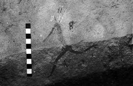 NMSA 03 3254P