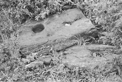 Open original Digital object