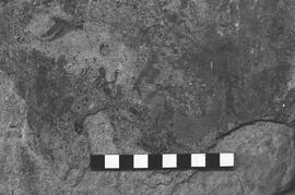 NMSA 03 2294P