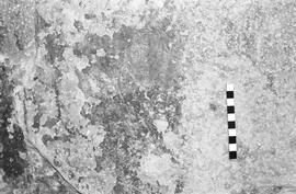 NMSA 03 1925P
