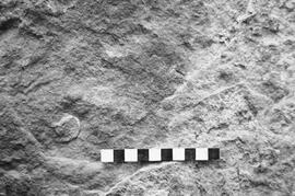 NMSA 03 1715P