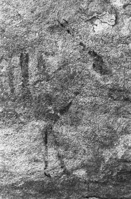 NMSA 03 206P