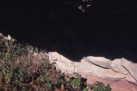 Open original Digital object