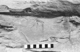NMSA 03 1042P