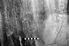 NMSA 03 3950P