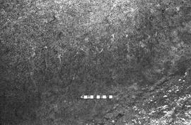 NMSA 03 4595P