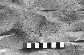 NMSA 03 1043P