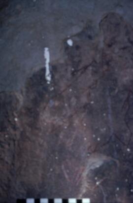 RSA EME1 13