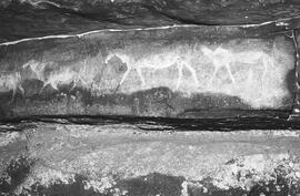 NMSA 03 1246P