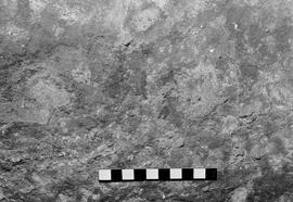 NMSA 03 6075P