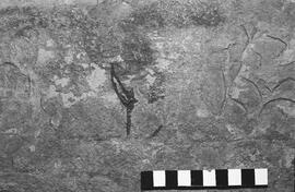 NMSA 03 1196P