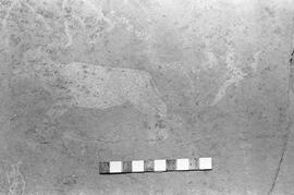 NMSA 03 1549P