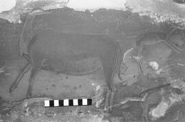 NMSA 03 1167P