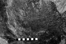 NMSA 03 3916P