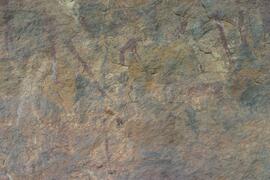 NMSA RSA SCD1 24D