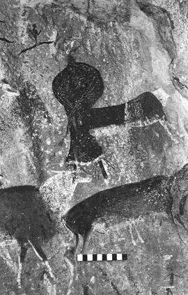 NMSA 03 1432P