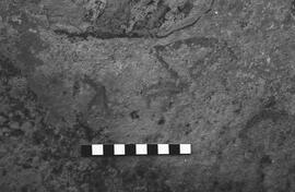 NMSA 03 2449P