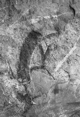 NMSA 03 7832P