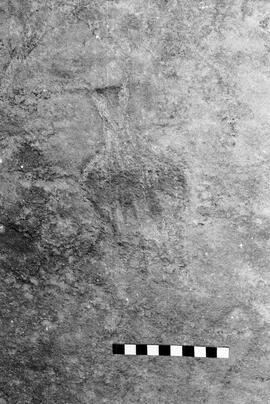 NMSA 03 6338P