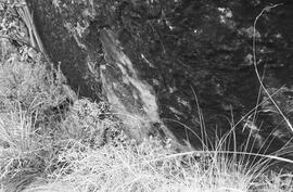 NMSA 03 3178P