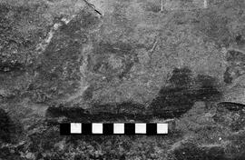 NMSA 03 4006P