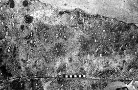 NMSA 03 4211P