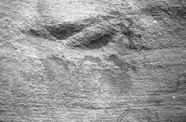 NMSA 03 1004P