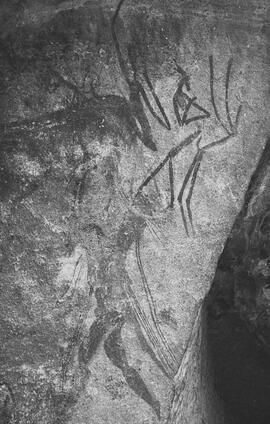 NMSA 03 7389P